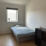 House For Rent During Ons 2024